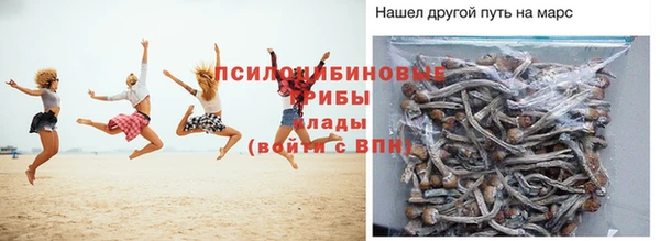 трава Богородицк