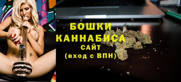 гашик Богородск