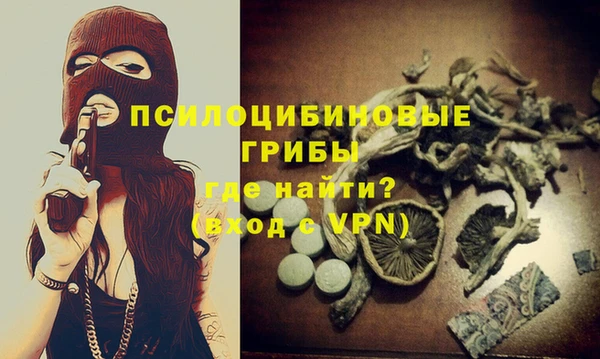 гашик Богородск