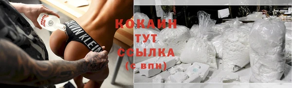 ГАЛЛЮЦИНОГЕННЫЕ ГРИБЫ Богданович
