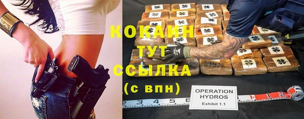 трава Богородицк