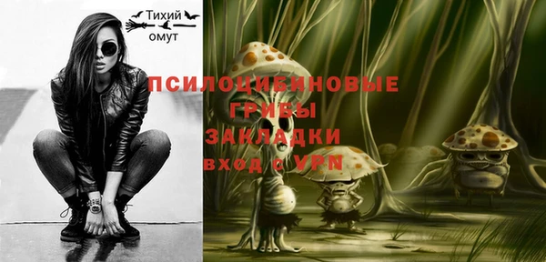 ГАЛЛЮЦИНОГЕННЫЕ ГРИБЫ Богданович