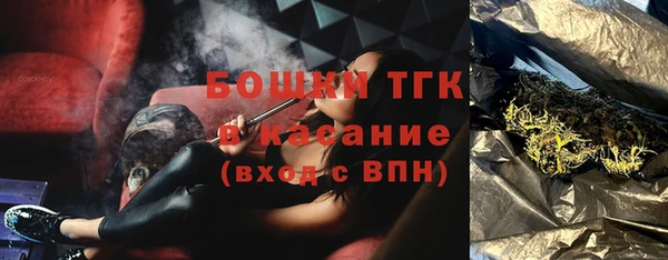 ГАЛЛЮЦИНОГЕННЫЕ ГРИБЫ Богданович