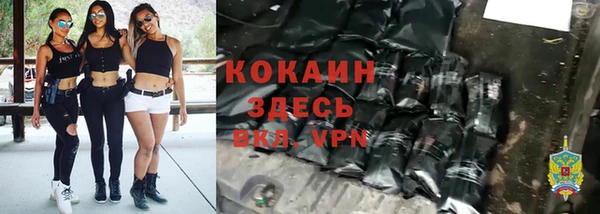 трава Богородицк
