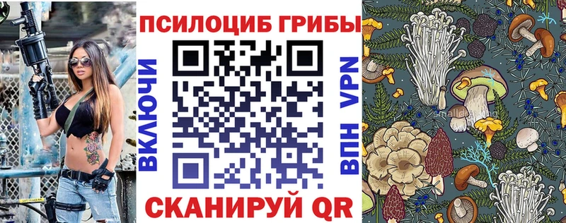 Галлюциногенные грибы прущие грибы  сколько стоит  Торжок 